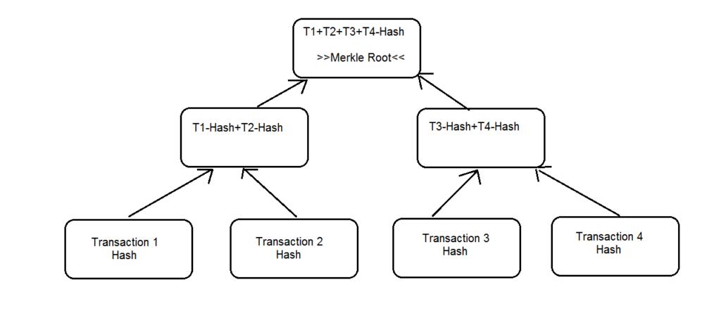 Merkle Root